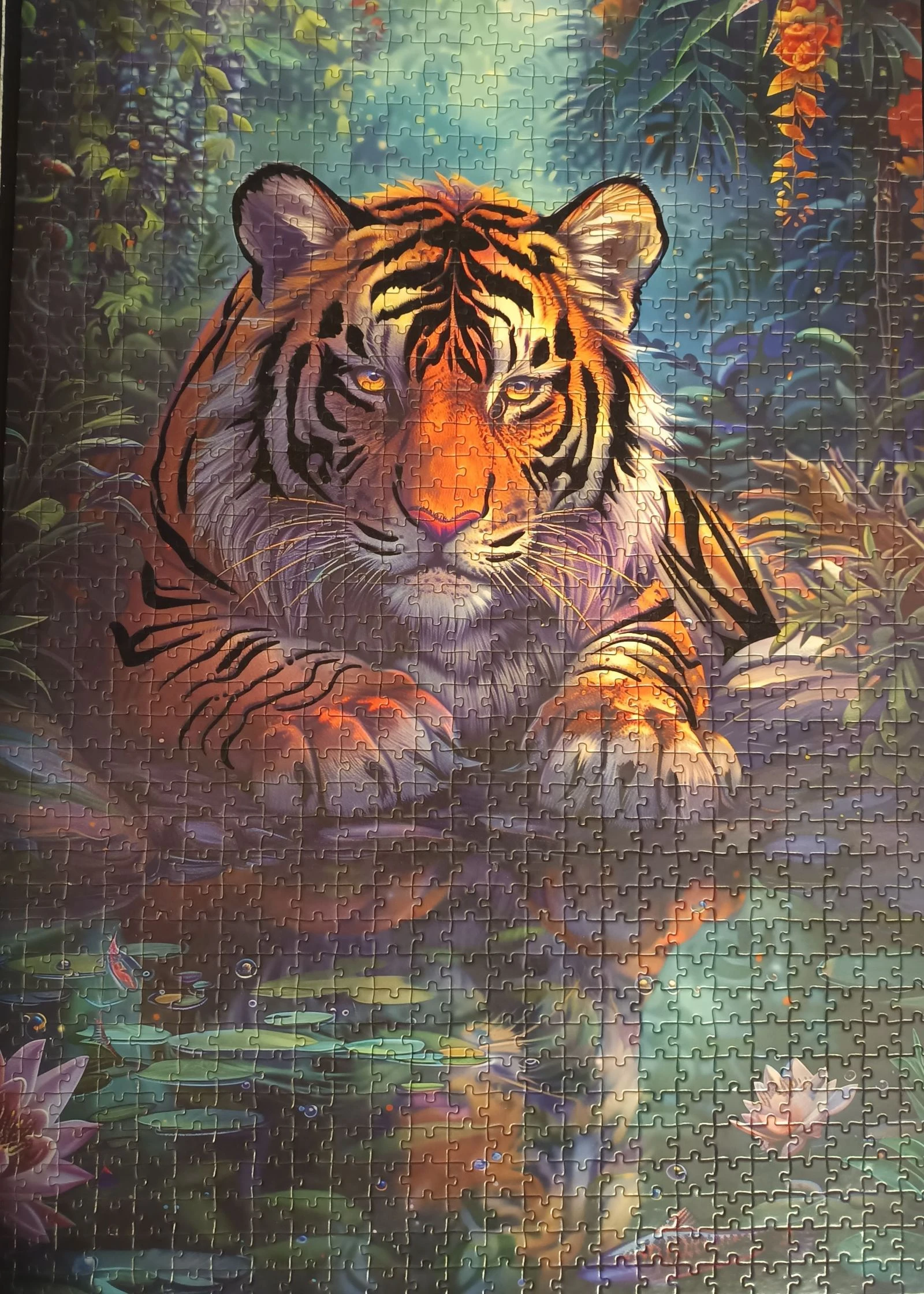 Puzzle 1000 - tigre